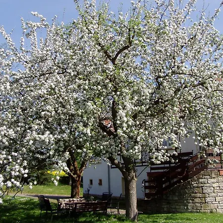 Obermuehle * Ballstädt