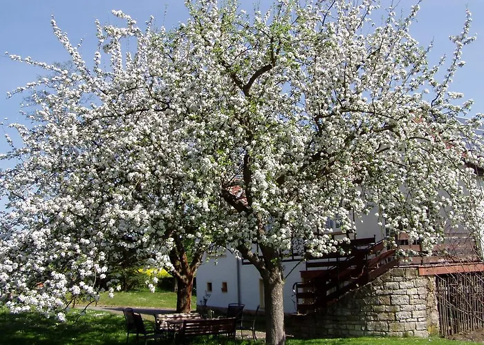 Obermühle * Ballstädt